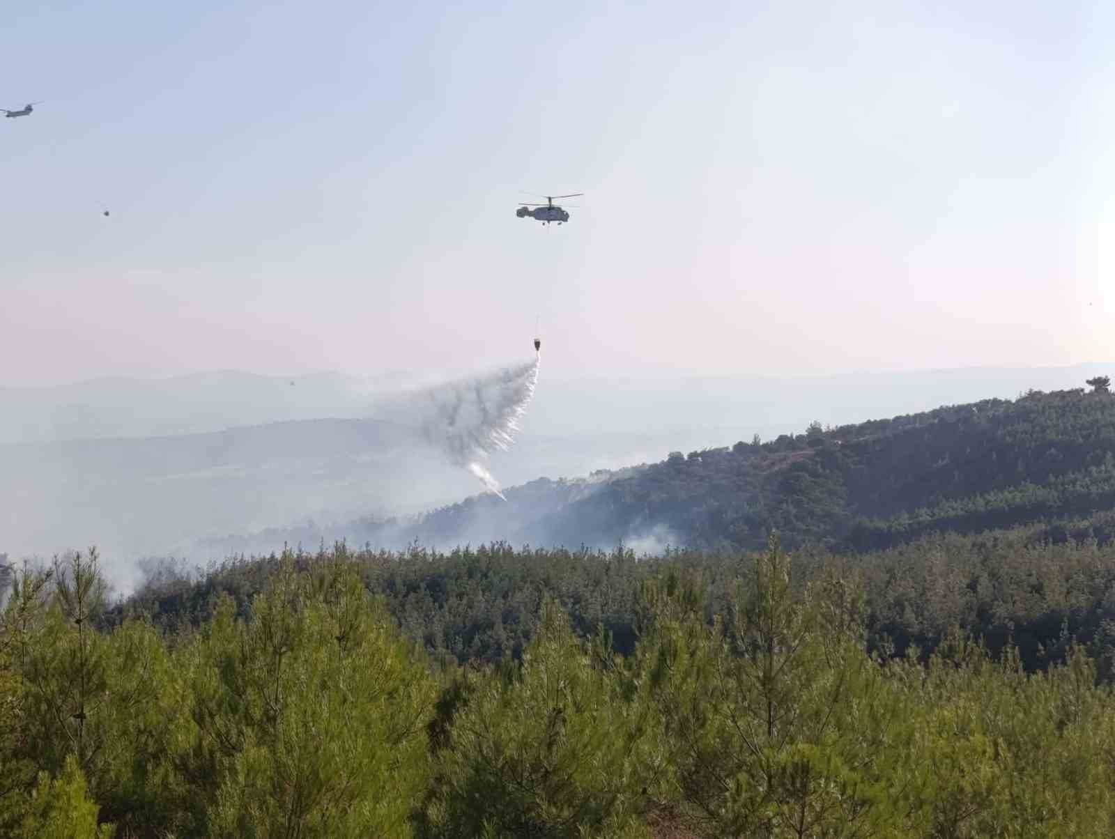 Bayramiç'teki Orman Yangını Kontrol Altında