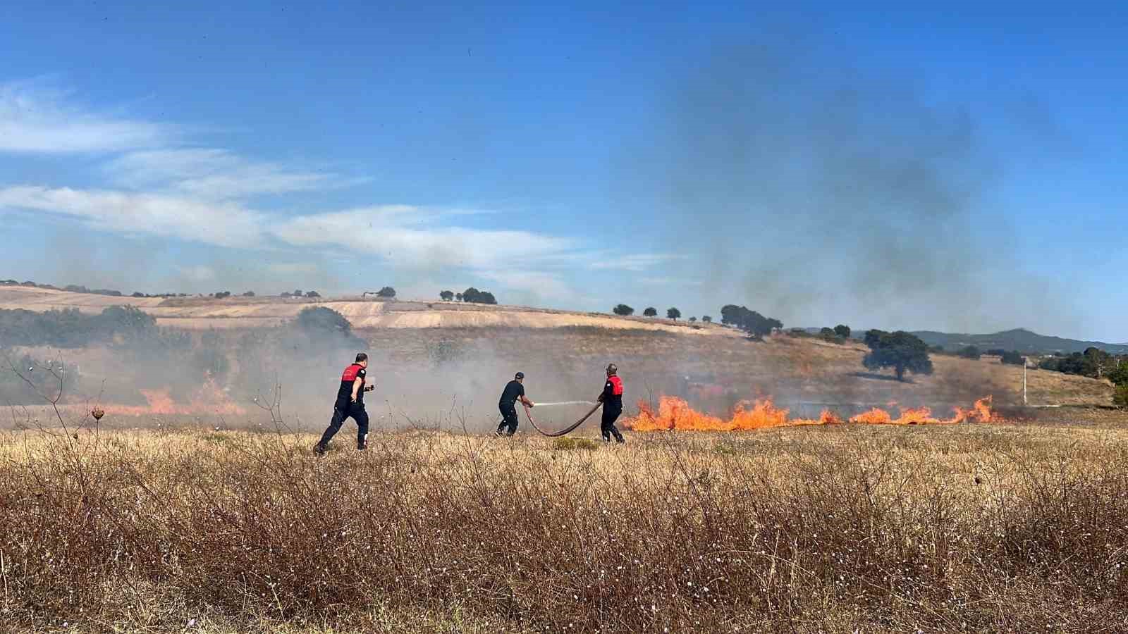 Çanakkale'de Korkutan Yangın: Otlar Alev Alev Yandı
