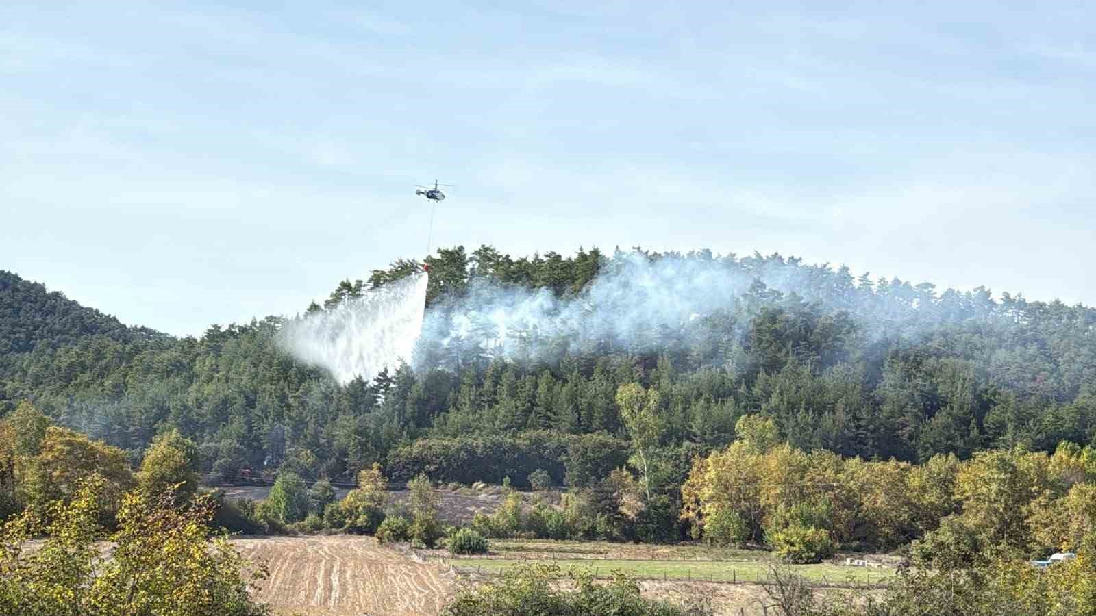 Çanakkale'de Tarım Arazisinden Ormana Sıçrayan Yangın Kontrol Altına Alındı