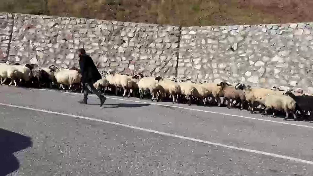 Erzurum'da Göçerlerin Zorlu Kış Yolculuğu Başladı