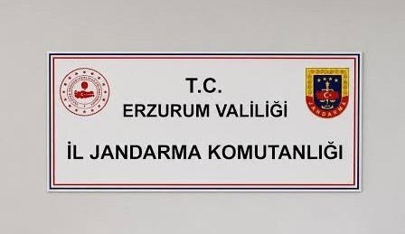 Erzurum'da Siber Suçlarla Mücadele: 25 Kişiye Adli İşlem