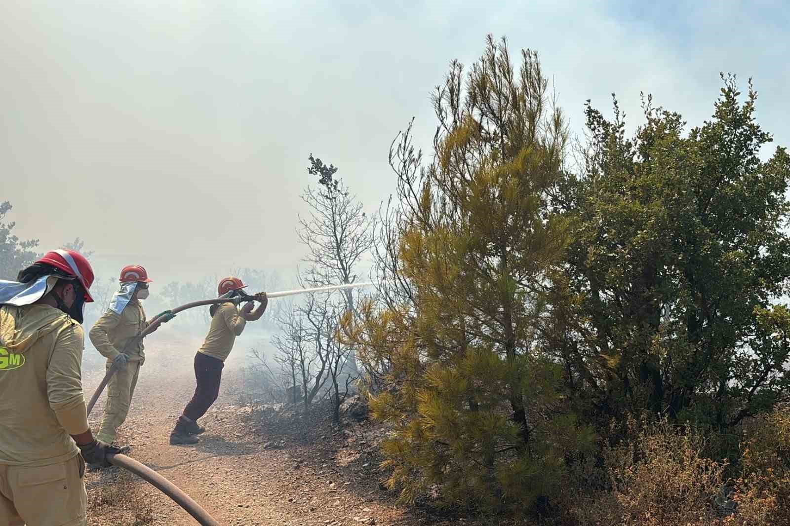 Gömeç’te Orman Yangınına Hızır gibi Müdahale