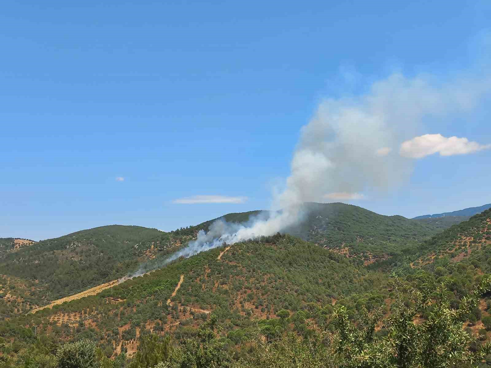Burhaniye'de Orman Yangını Kontrol Altına Alındı, Soğutma Çalışmaları Sürüyor