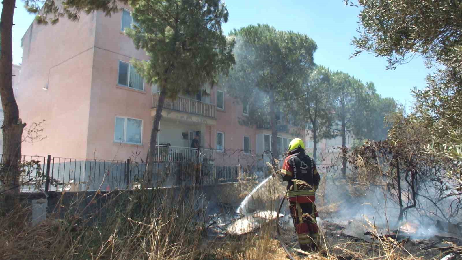 Burhaniye'de Zeytinliğe Sıçrayan Yangın, Polis Merkezini Endişelendirdi