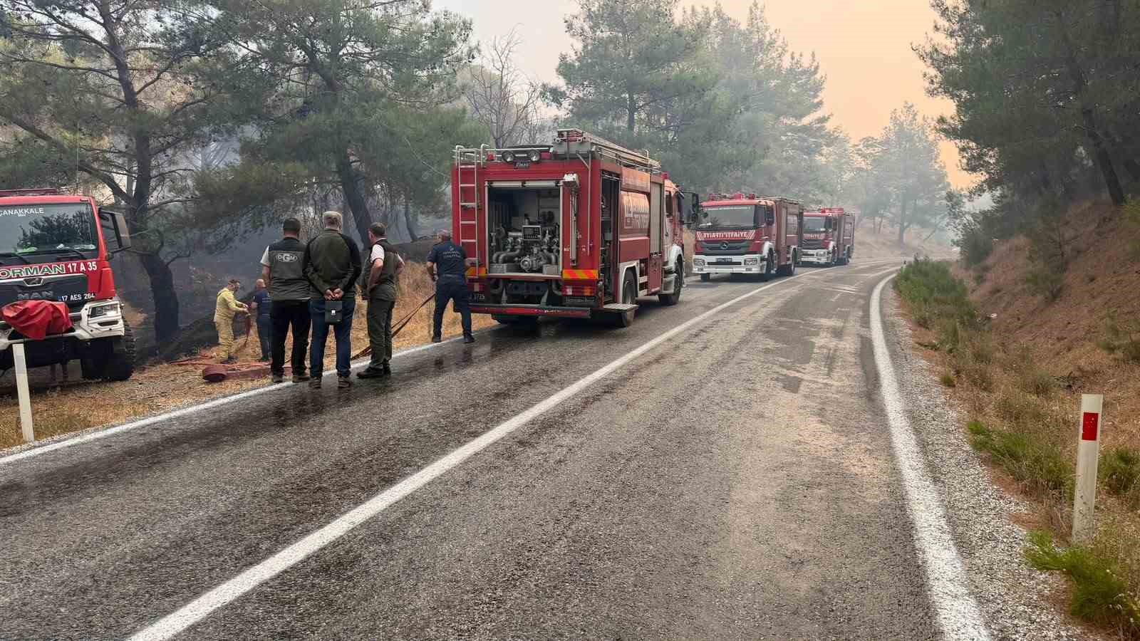 Ayvalık-Bergama Yolu Yangın Nedeniyle Kapatıldı