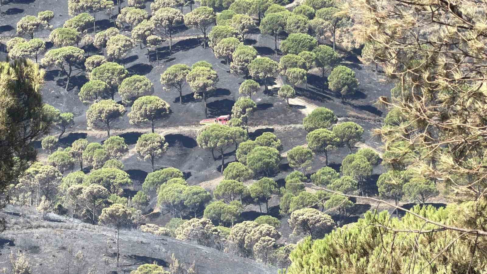 Balıkesir'deki Yangınlarda Son Durum ve Mücadele