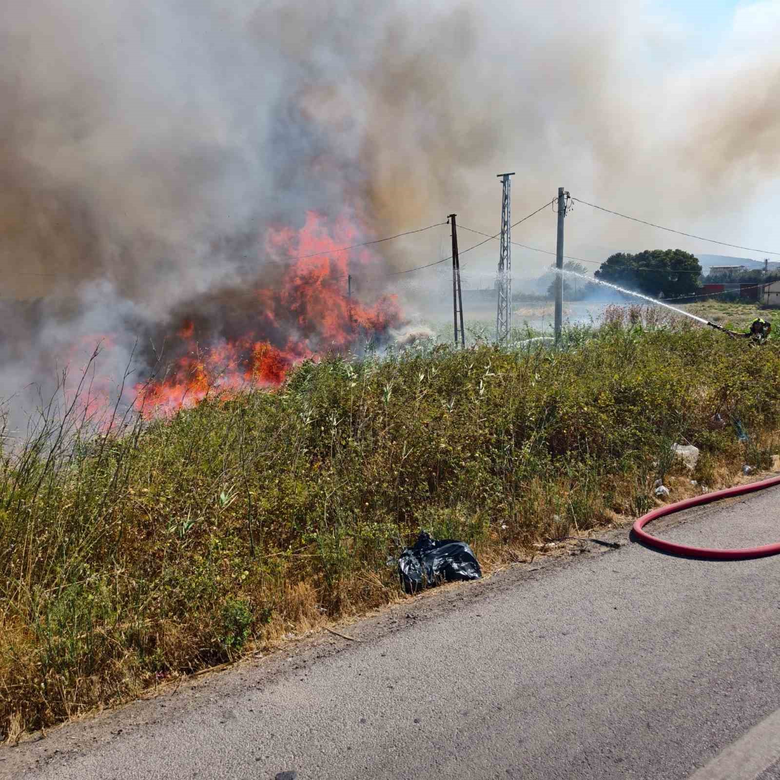 Burhaniye'de Ot Yangını Trafiği Olumsuz Etkiledi