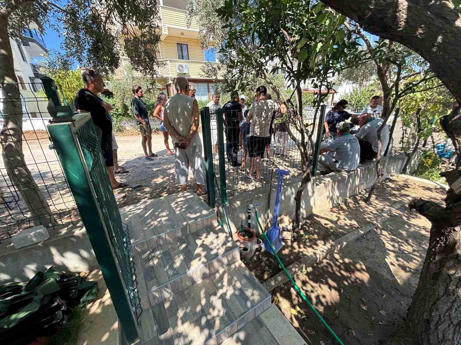 Burhaniye'de Ağaç Kesimlerine Tepki Yağdı