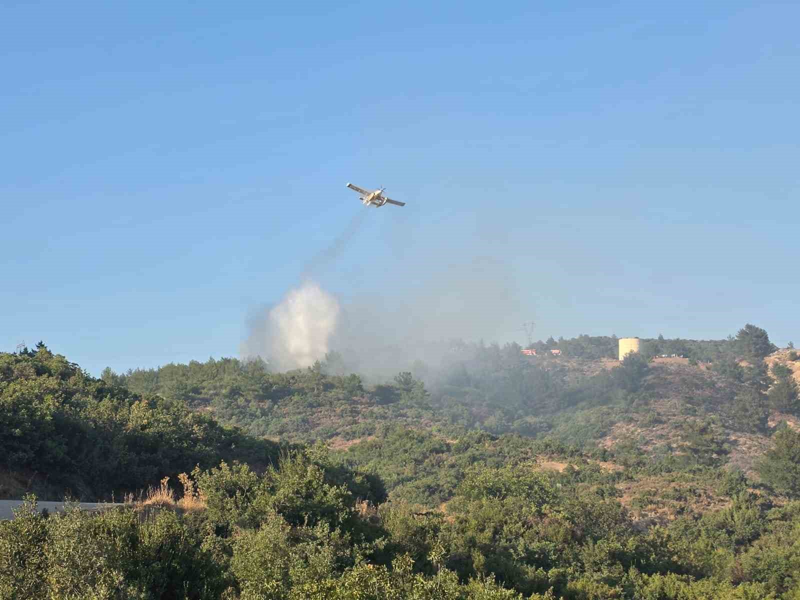 Havran'da Yangın Kontrol Altına Alındı: Ekipler Hızla Müdahale Etti