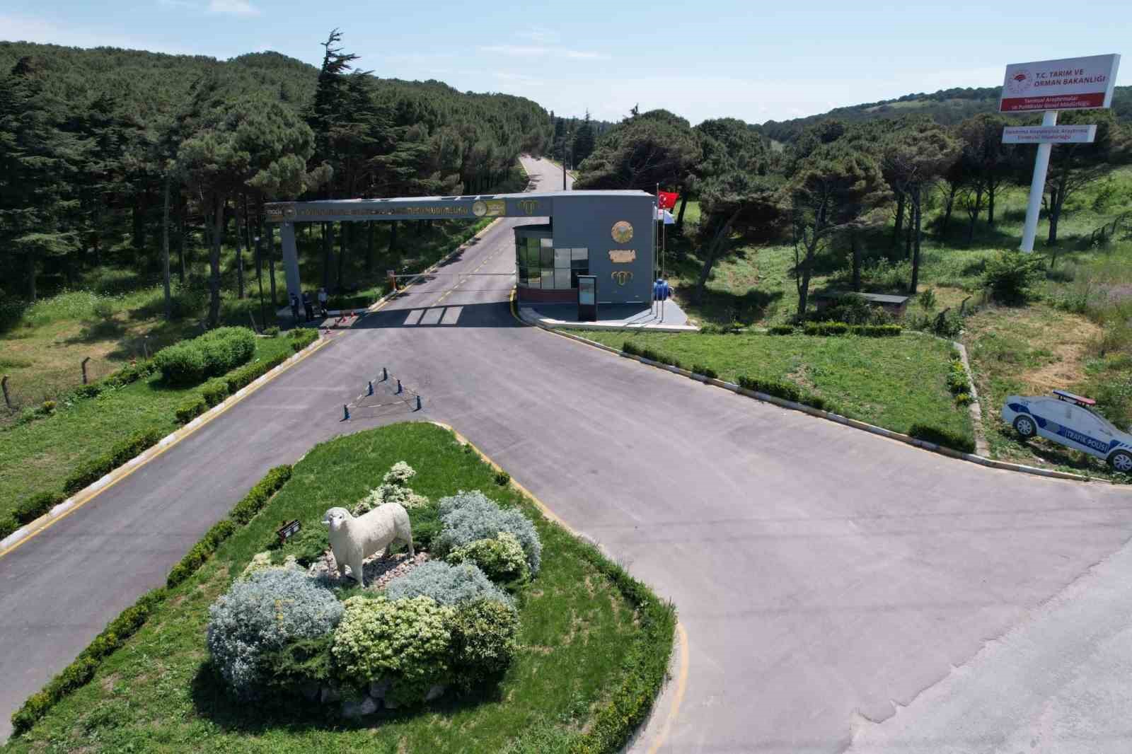 Bandırma Koyunculuk Araştırma Enstitüsü'nden TÜBİTAK'a önemli proje desteği