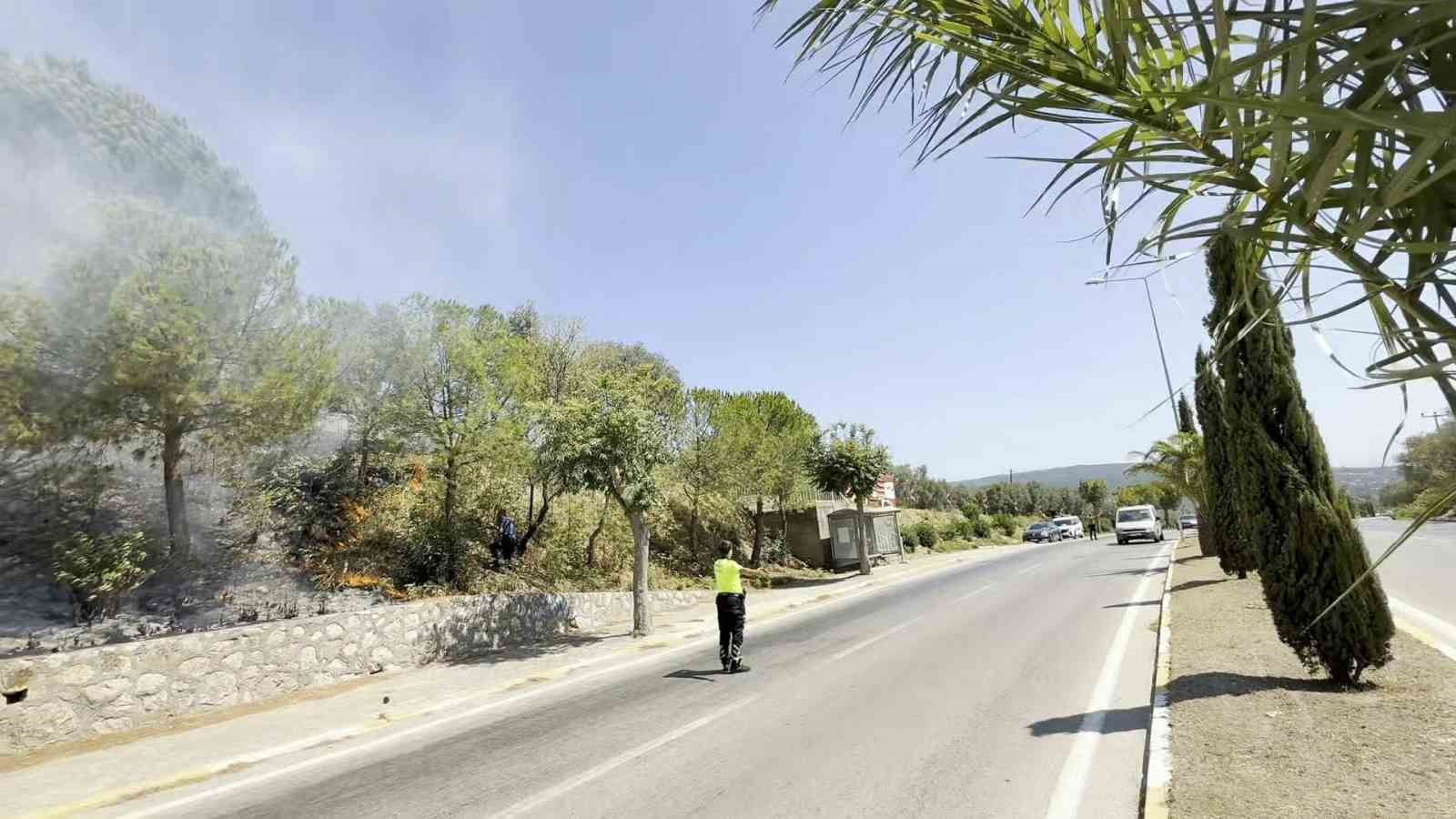 Erdek'te Yangın Paniği: Yol Kenarındaki Alevler Ormana Sıçradı