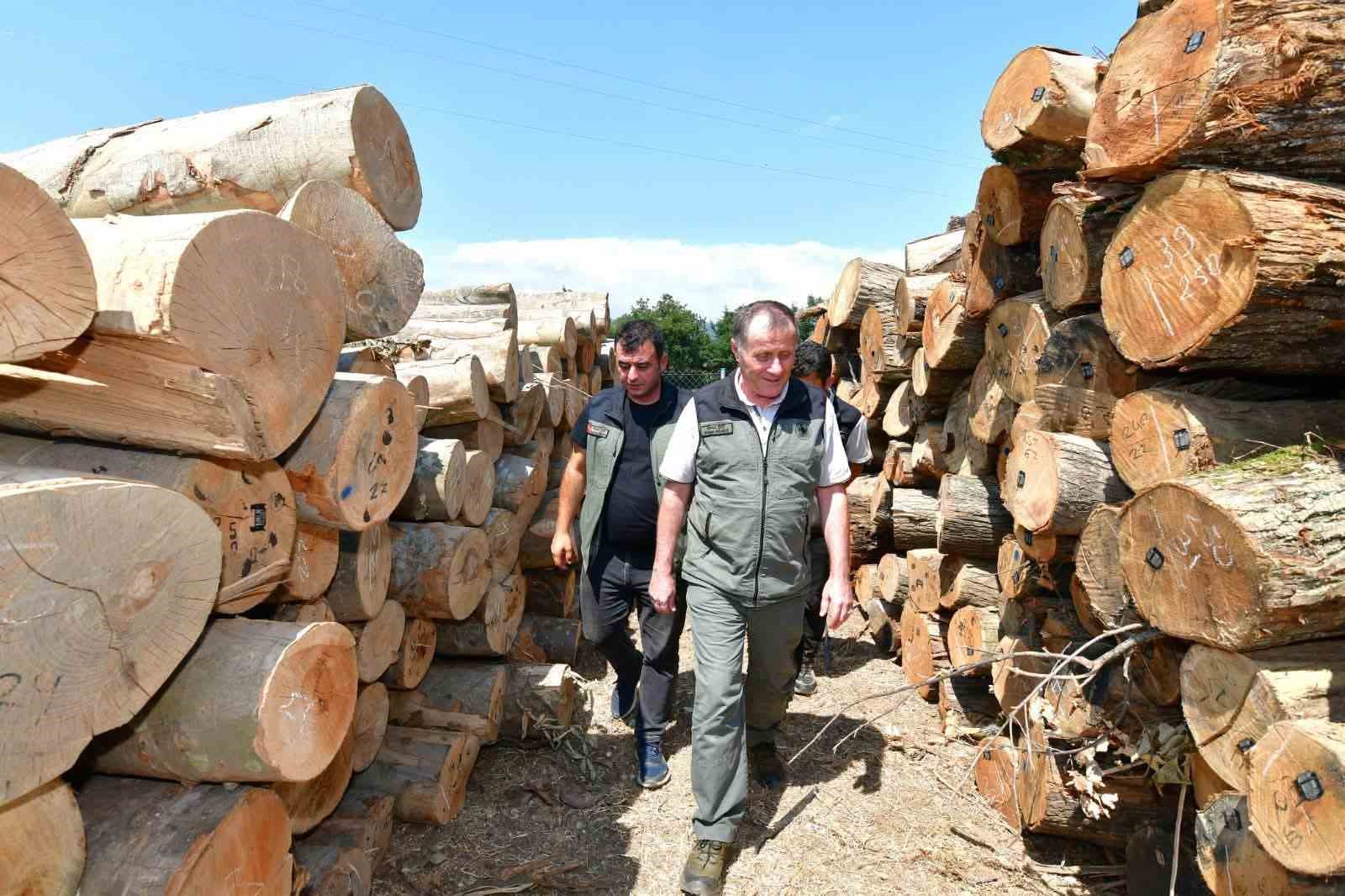 Balıkesir Orman Bölge Müdürü Bandırma'daki Faaliyetleri Yerinde İnceledi