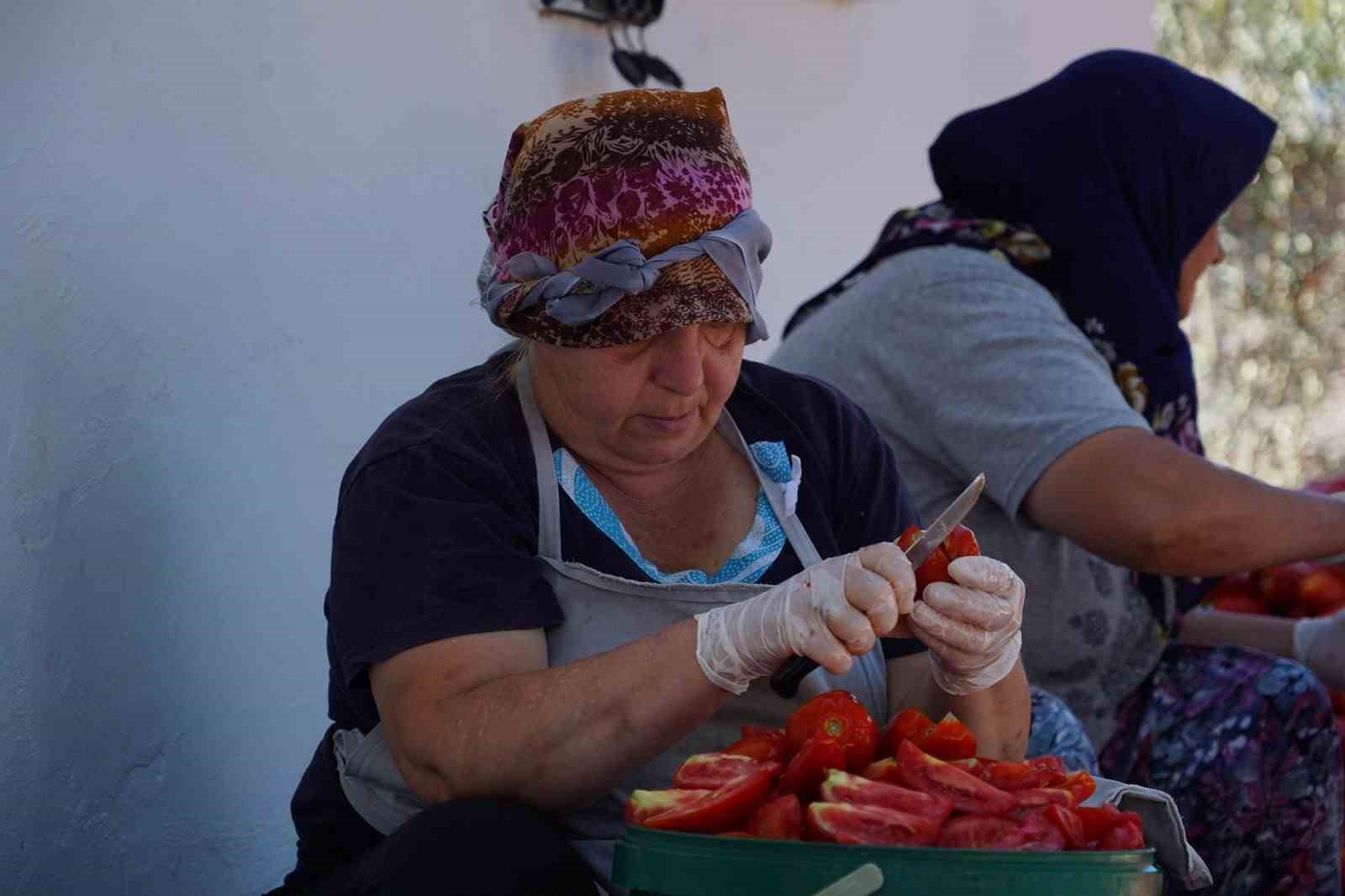 Ayvalık'ta Güneşin Altında Geleneksel Lezzet: Kadınların Emeğiyle Üretilen Salçalar