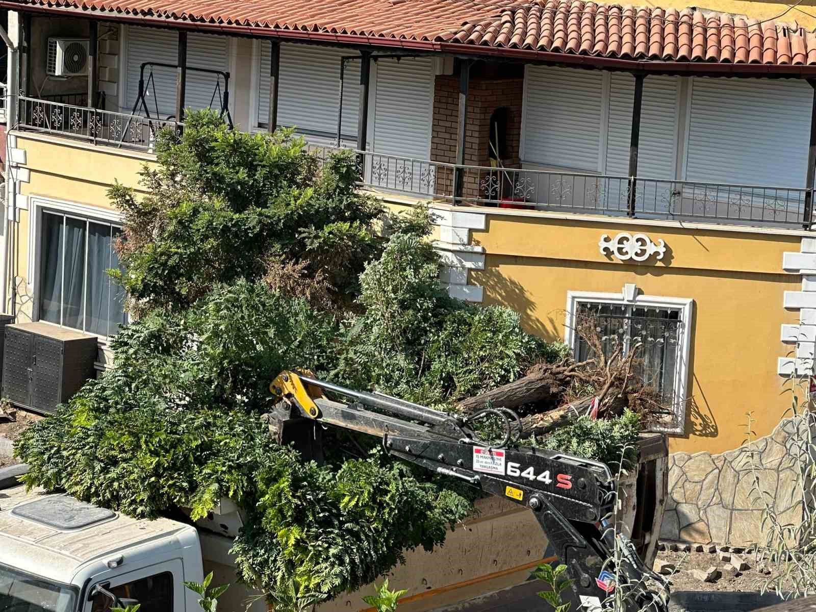 Sındırgı'da Ağaçlar Yol Çalışmaları İçin Söküldü