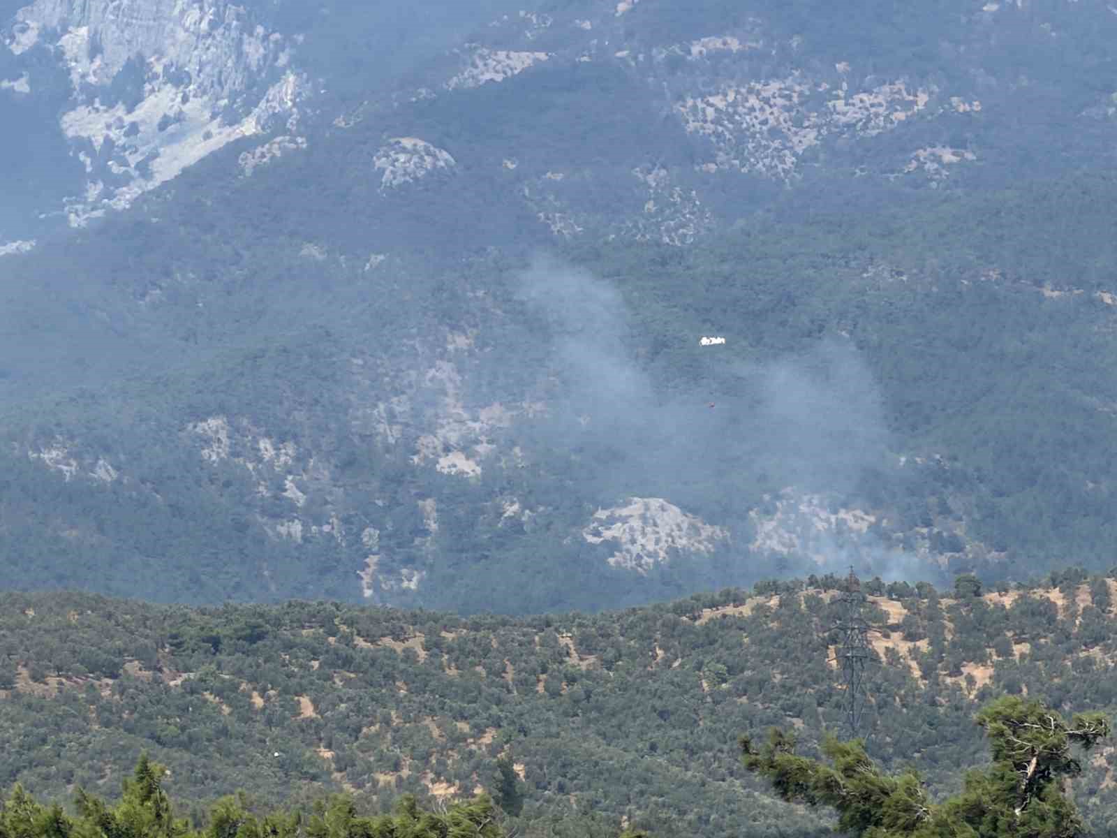 Kazdağı Milli Parkı'nda Yangın Alarmı!