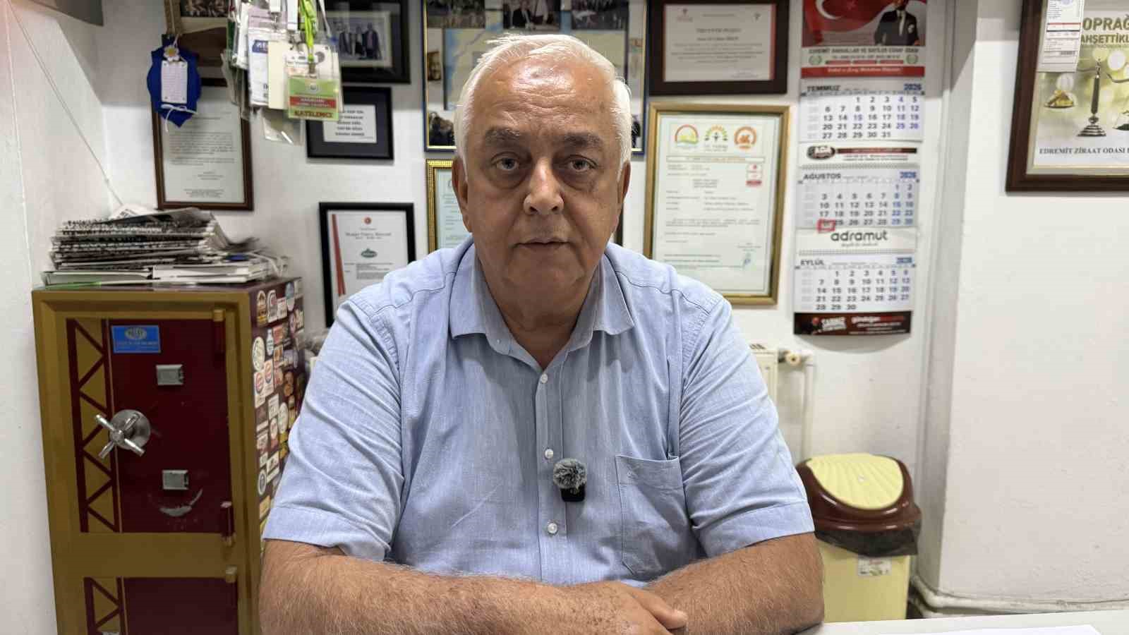 Ziraat Odası Başkanı'ndan Zeytinyağı Uyarısı: Tağşişli Ürünler Gerçek Fiyatları Geçti