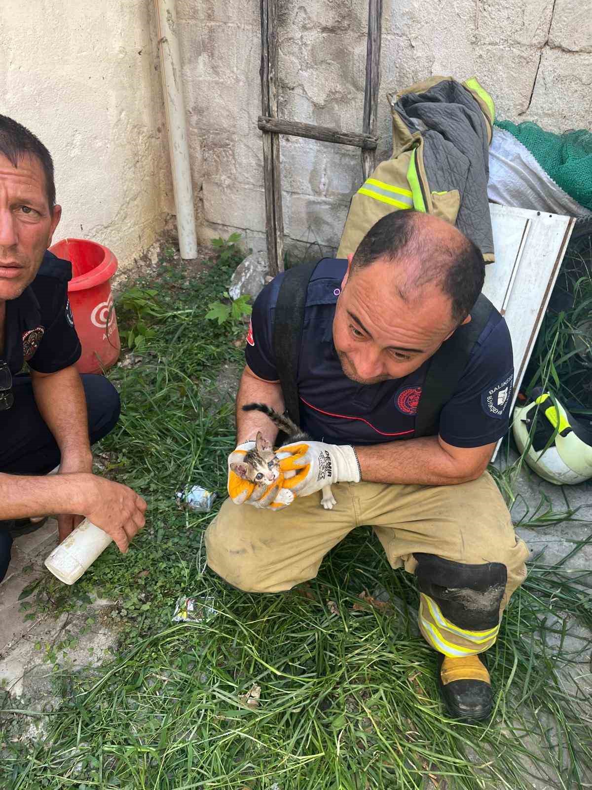 Erdek'te Yavru Kedi İki Bina Arasında Mahsur Kaldı, Kurtarıldı