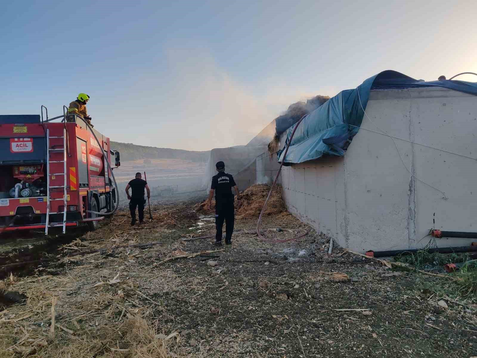Manyas'ta Çiftlikte Yangın Paniği: İtfaiye Zamanında Müdahale Etti
