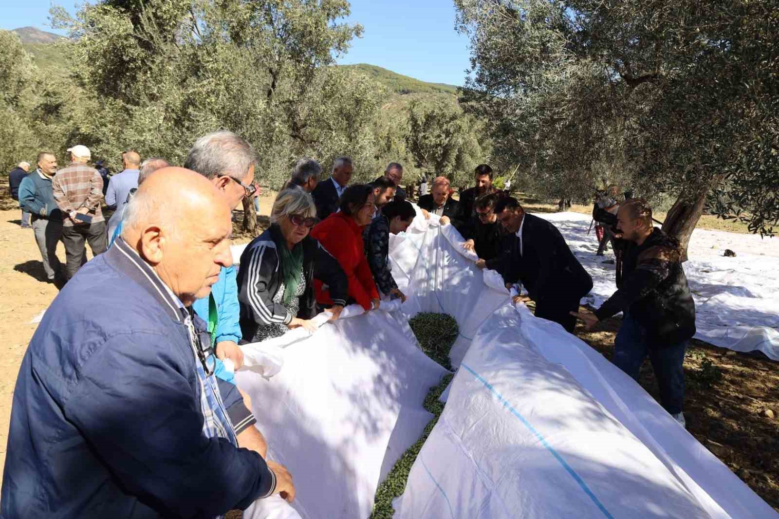 Edremit'in Zeytinyağı Festivali Başlıyor: Rekor Denemesi İçin Hazırız!