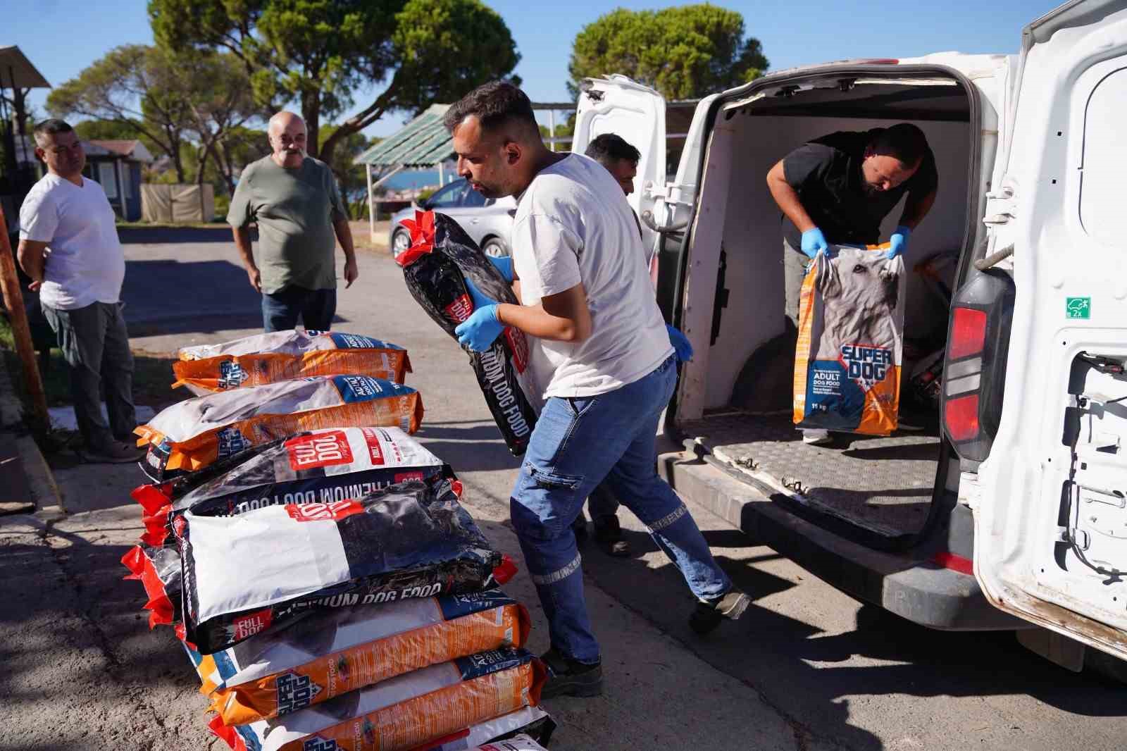 Ayvalık'ta Sokak Hayvanları İçin 1 Ton Mama Toplandı