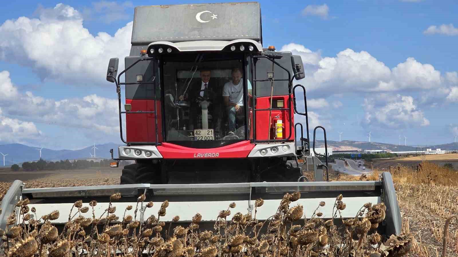 Kaymakam Öztürk, Ayçiçeği Hasadına Katıldı