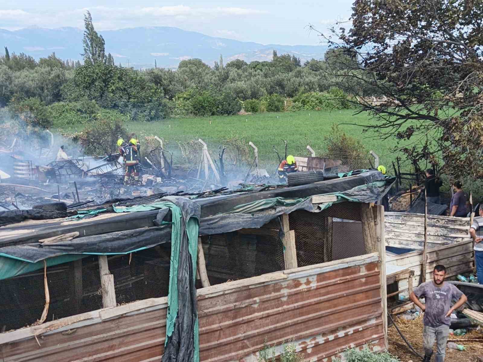 Burhaniye'de Ahır Yangını Nefes Kestirdi
