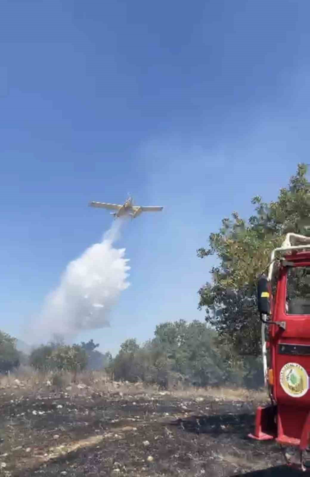 Balıkesir Kocaavşar'da Orman Yangınına Mücadele Sürüyor