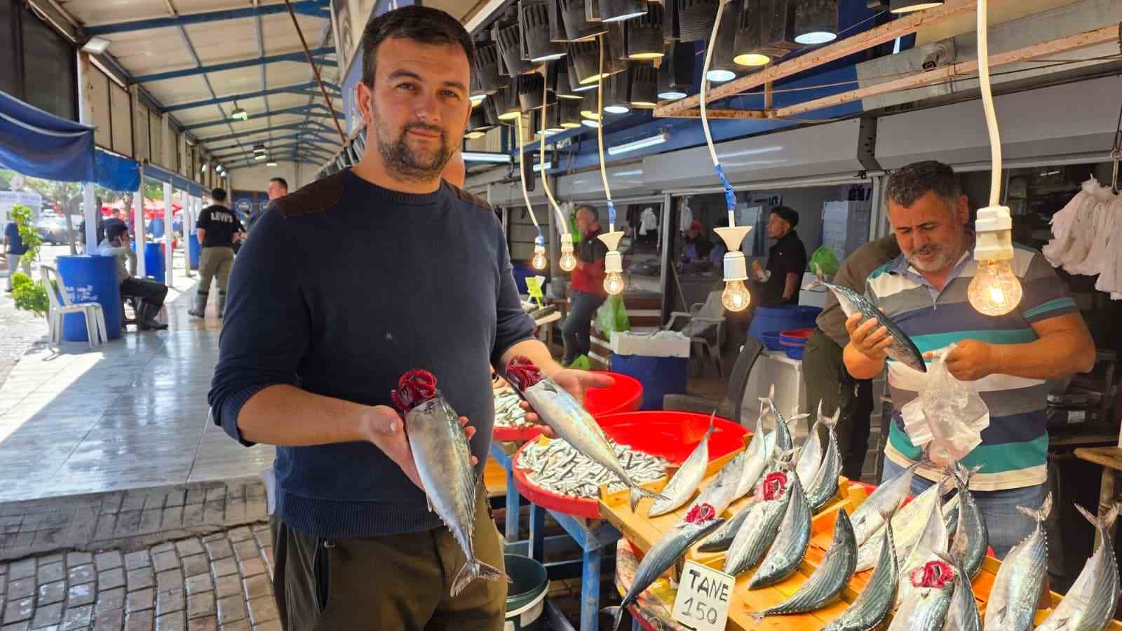 Bandırma'da Palamut Sezonu Coşkusu