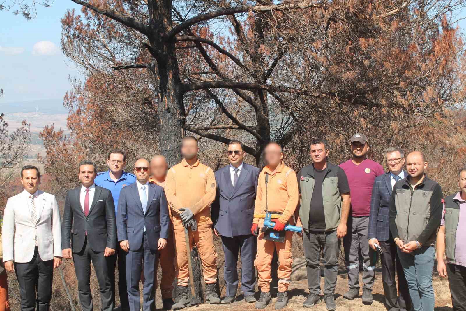 Hükümlüler Ormanları Yeniden Yeşertmek İçin Görevde