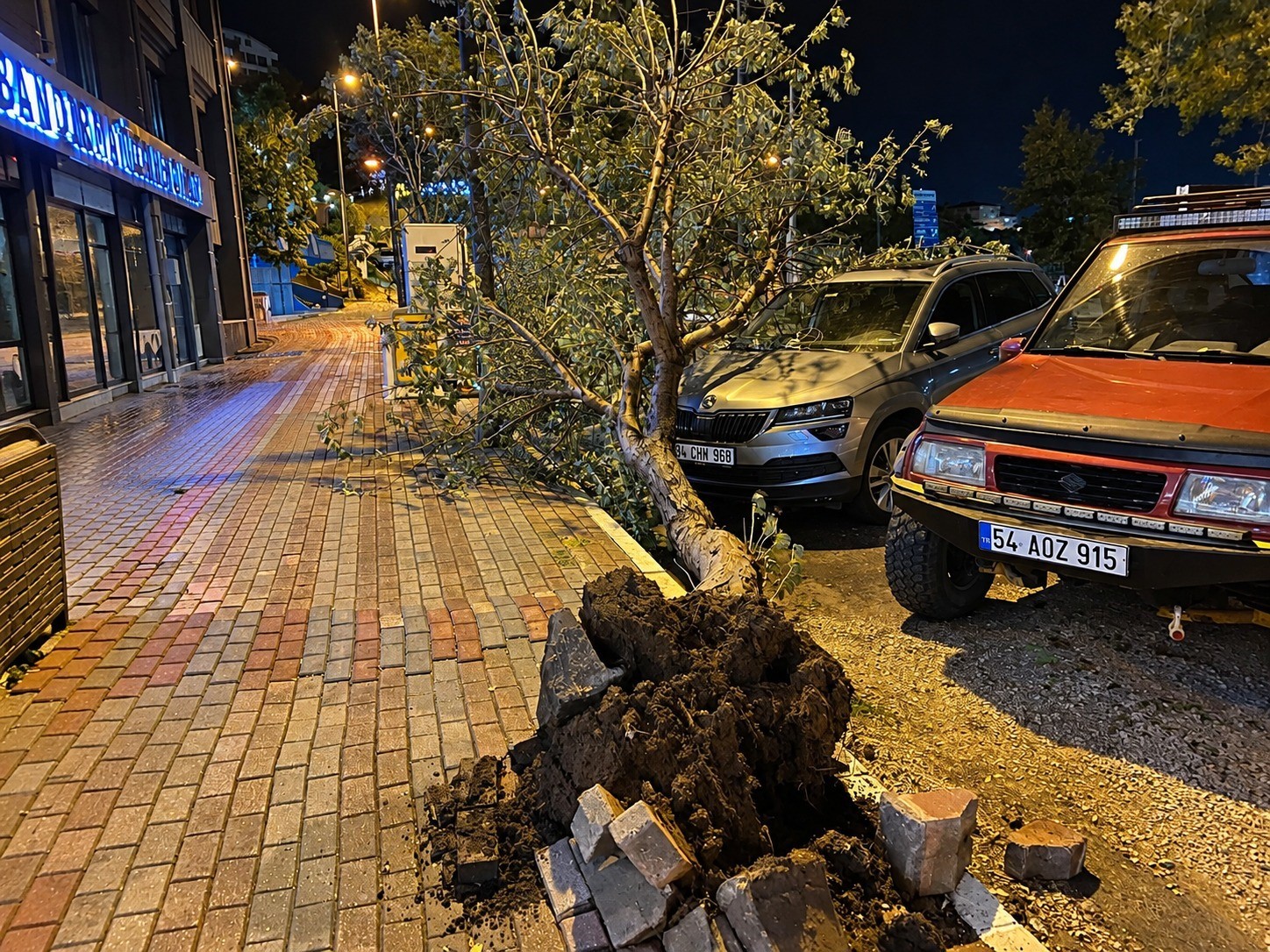 Bandırma’da Fırtına Ağaç Devrildi, Araç Hasar Gördü!