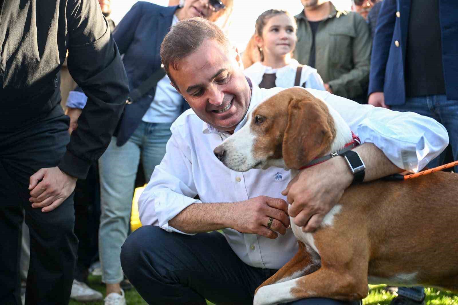 Balıkesir, Hayvan Dostlarına Sahip Çıkıyor