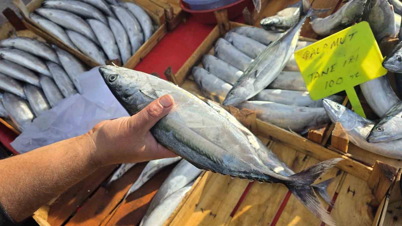 Bandırma'da Palamut Fiyatları Uçuşa Geçti: 100 Lira!