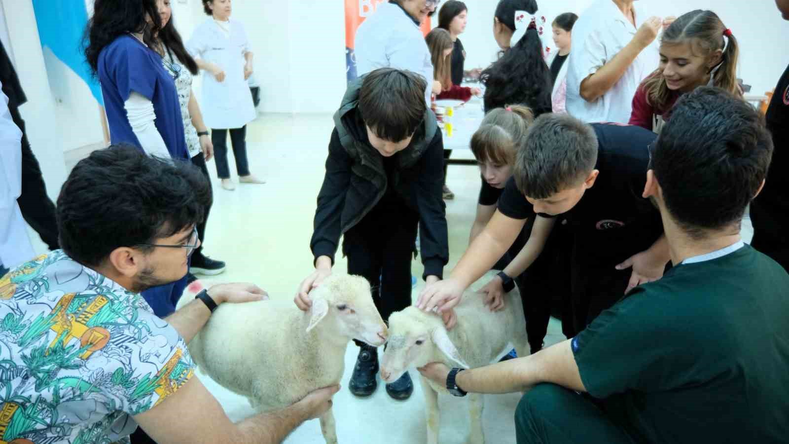 Küçük Hayvanseverler BAÜN’de ‘Can Dostları’ ile Buluştu