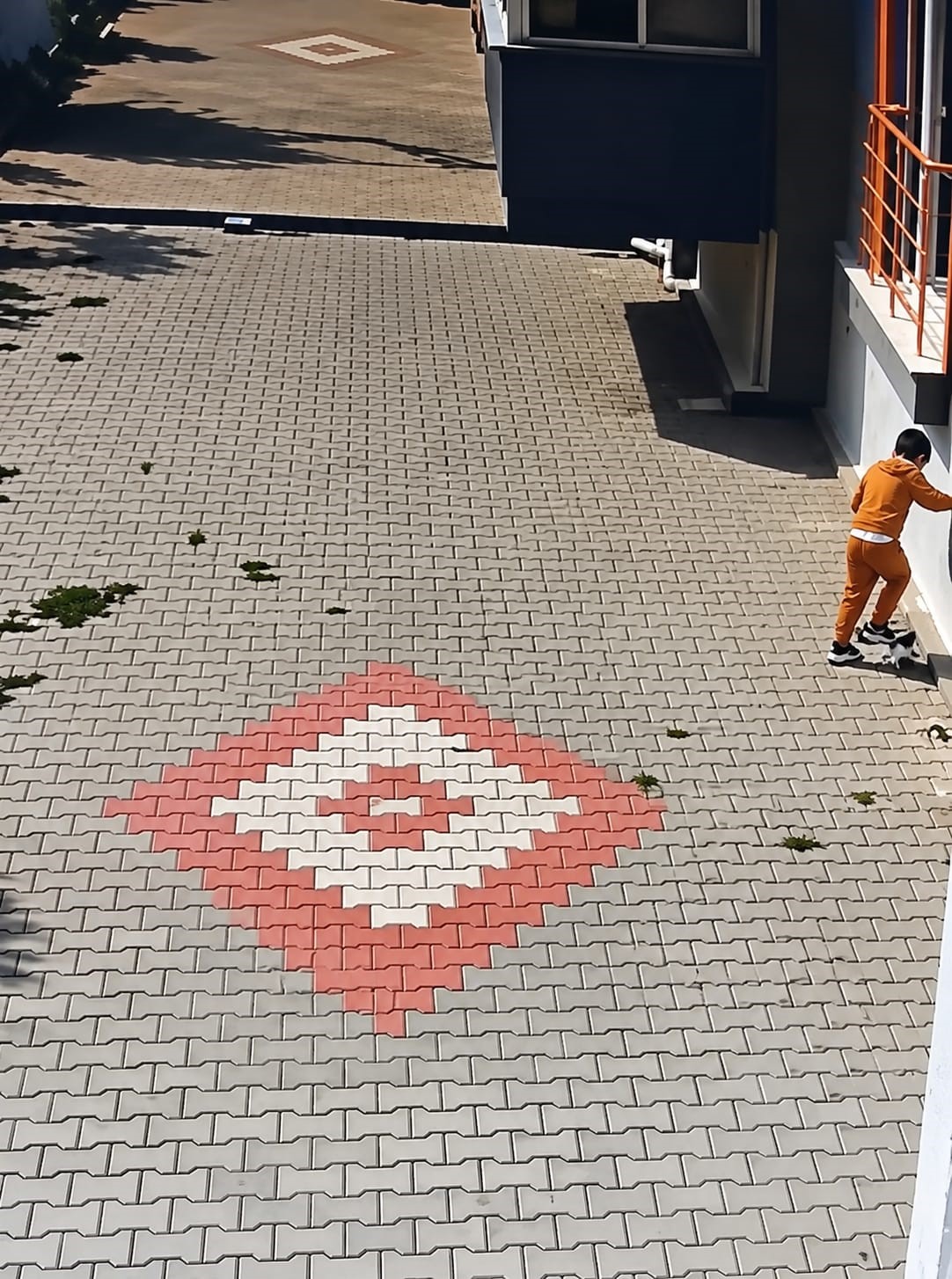 Bandırma'da Kediye Yapılan Kötü Muamele Tepkileri Beraberinde Getirdi