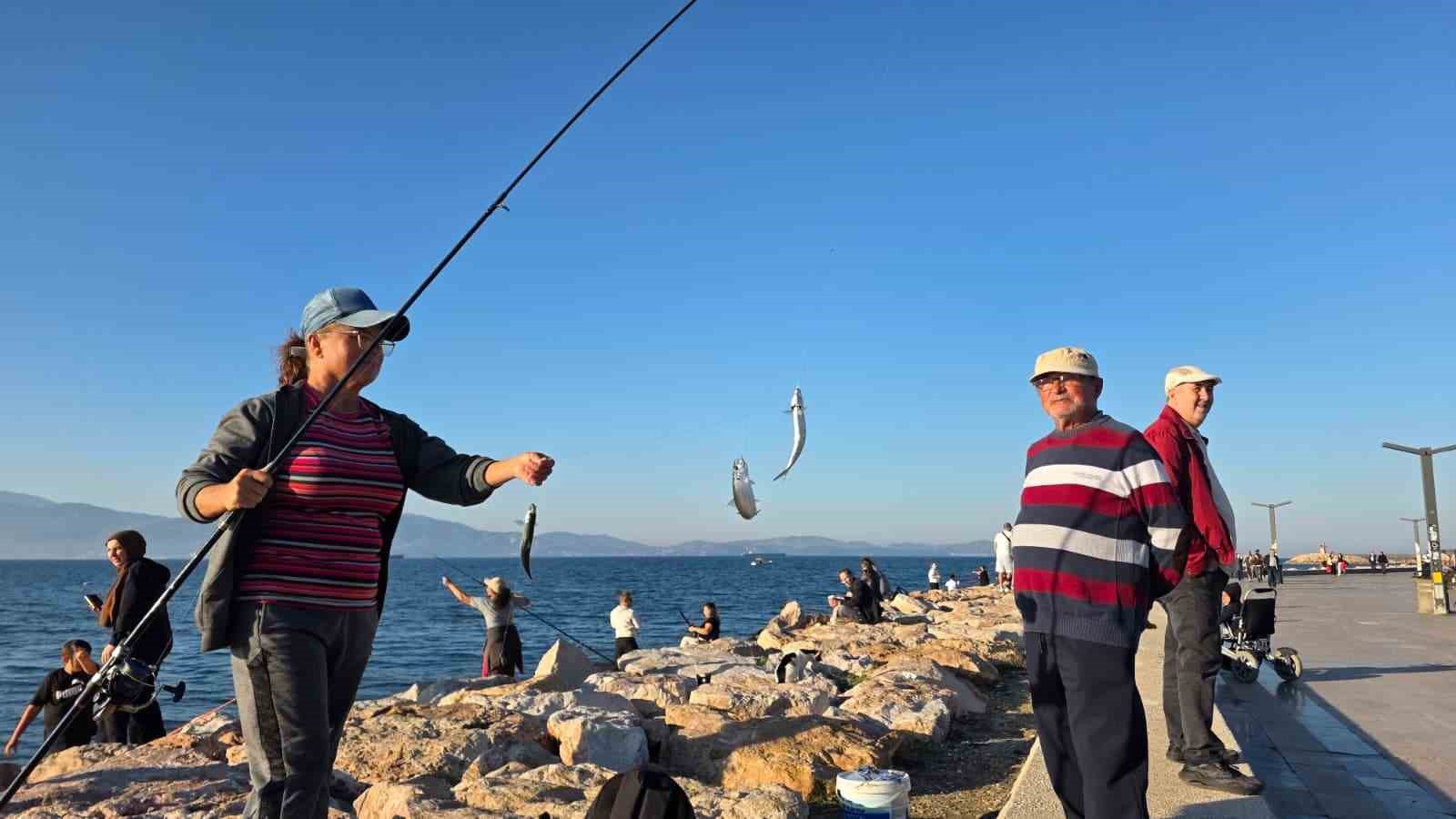 Bandırma Sahili'nde Tırsi Balığı Avı, Kovalar Dolup Taştı
