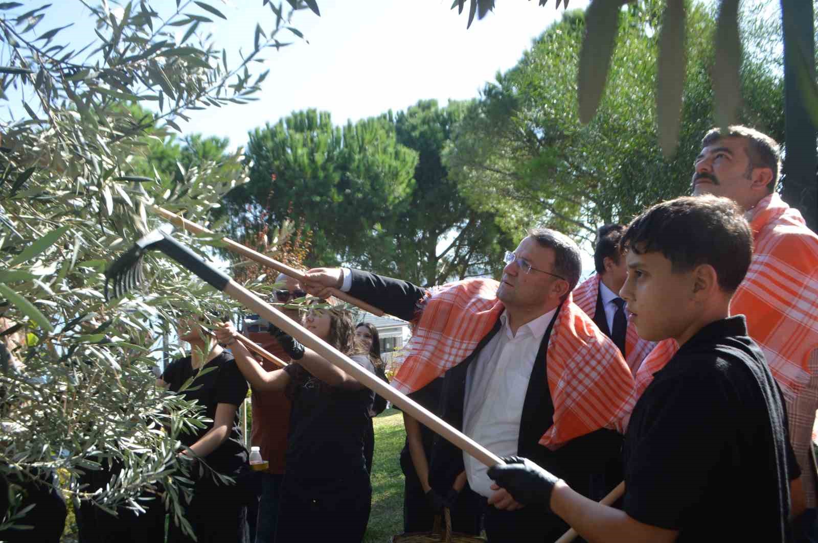 Gençler Zeytin Hasat Festivali'nde Tarihi Yaşatıyor
