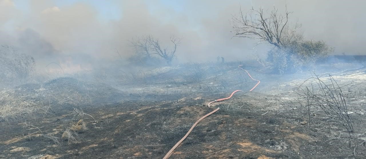 Bandırma'daki Arazi Yangını Hızla Kontrol Altına Alındı