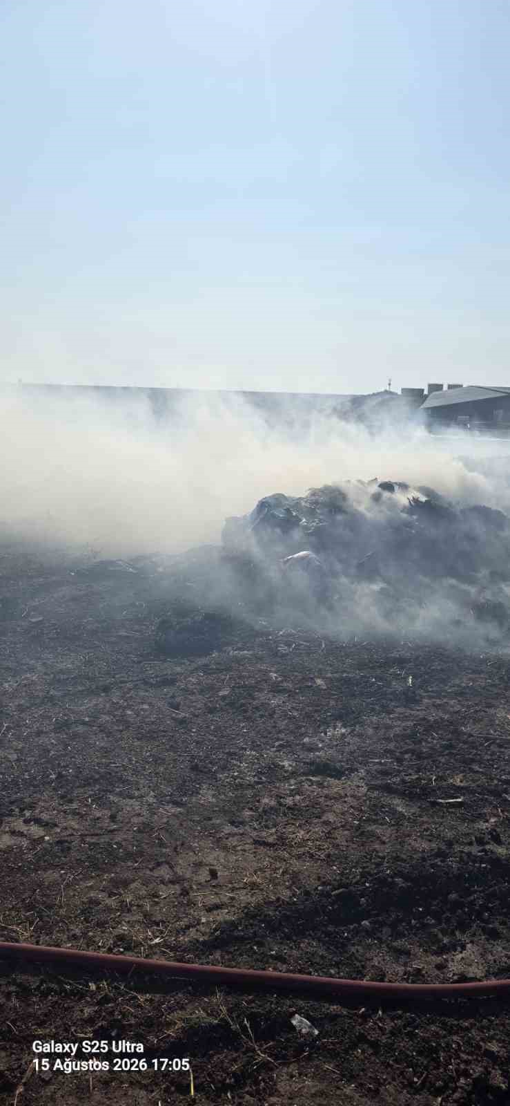Bandırma'da Otluk Alanda Yangın: İtfaiye Hızla Müdahale Etti
