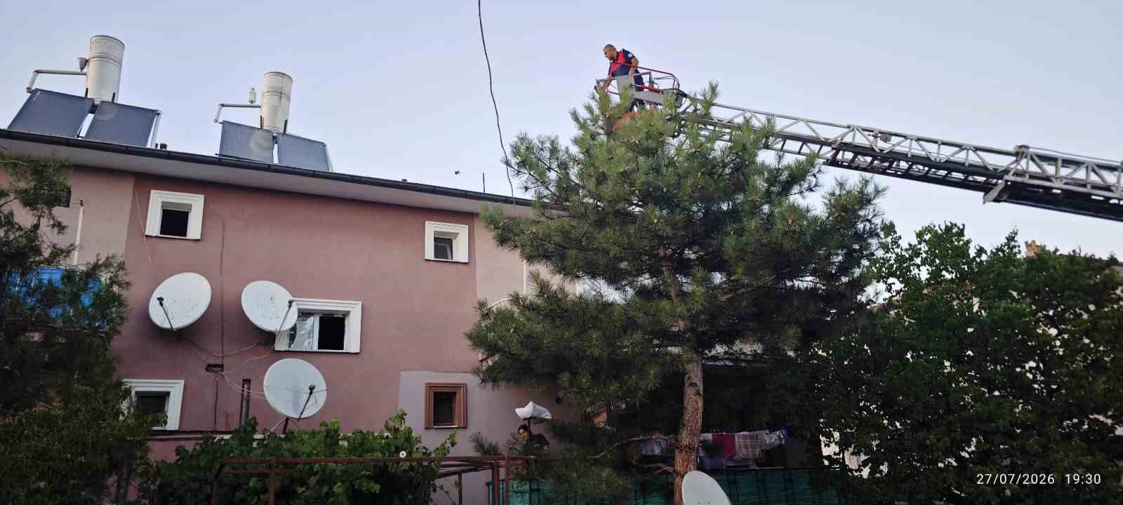 İzmir'de Apartman Çatısında Mahsur Kalan Kedi İtfaiye Ekiplerince Kurtarıldı