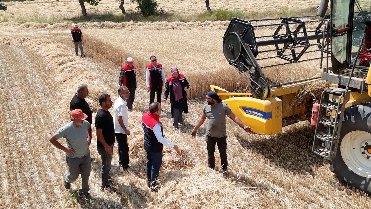 Erzincan'da Buğday Hasadı Devam Ediyor: Biçerdöverler Denetlendi
