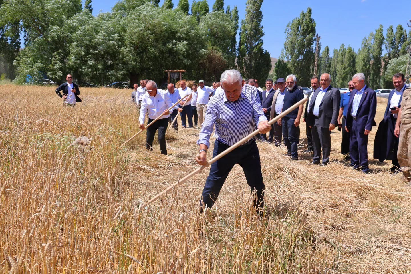Binali Yıldırım Beşpınar Harman Şenliği'nde Tırpan Salladı