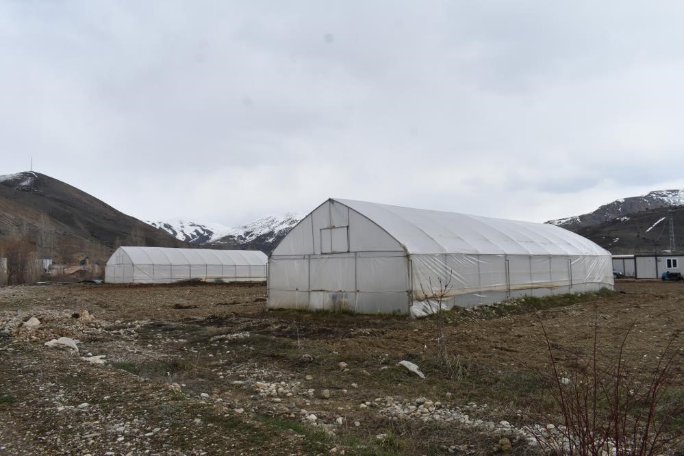 Erzincan'da Sera Örtüsü Yenileme Desteği İçin Başvurular Uzatıldı