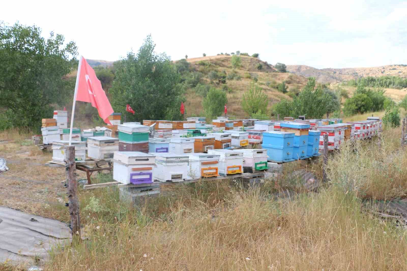 Erzincan'da Arıcılıkla Vatan Sevgisi Birleşti