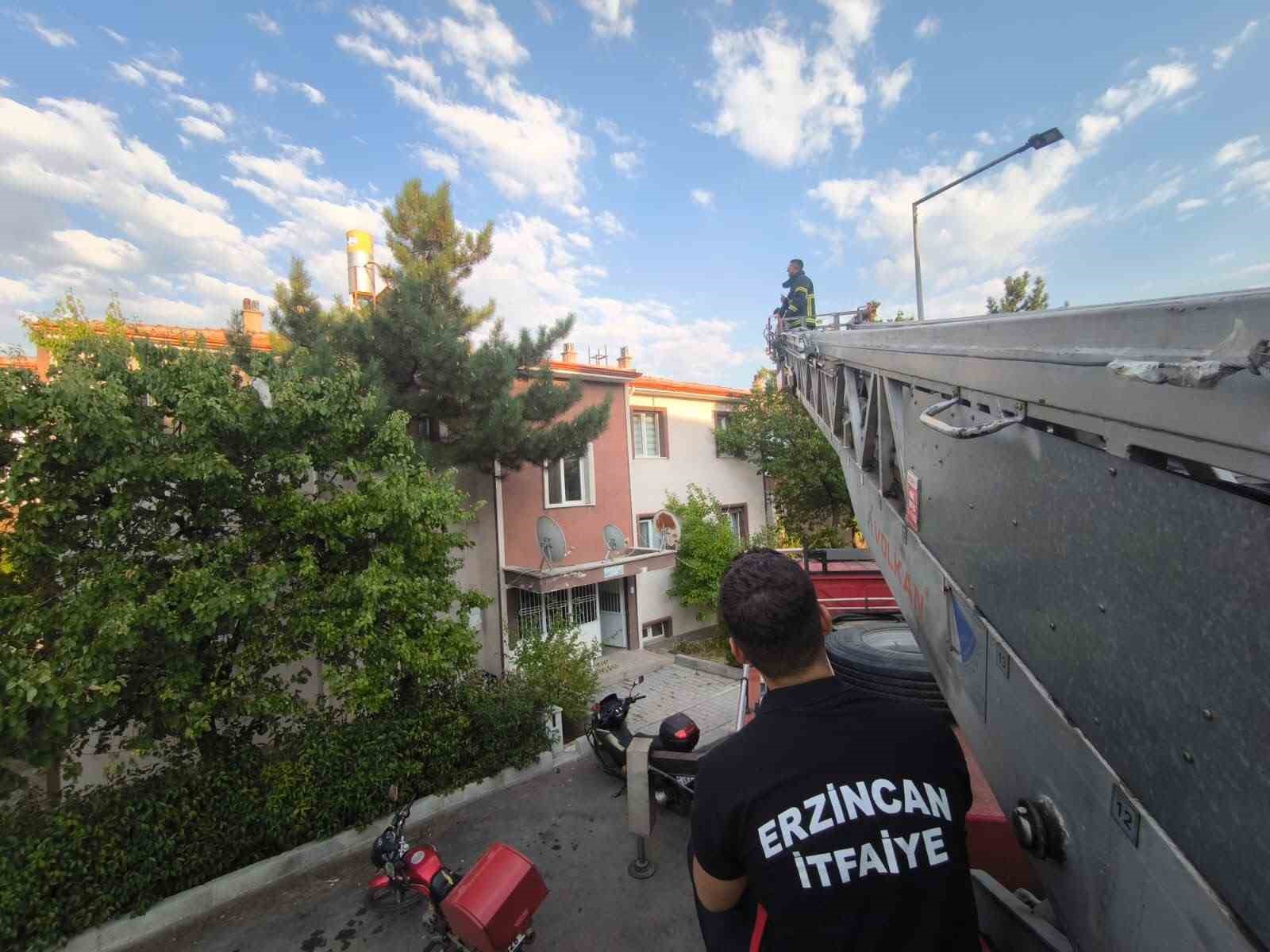İzmir'de Mahsur Kalan Yavru Kedi İtfaiye Ekipleri Tarafından Kurtarıldı