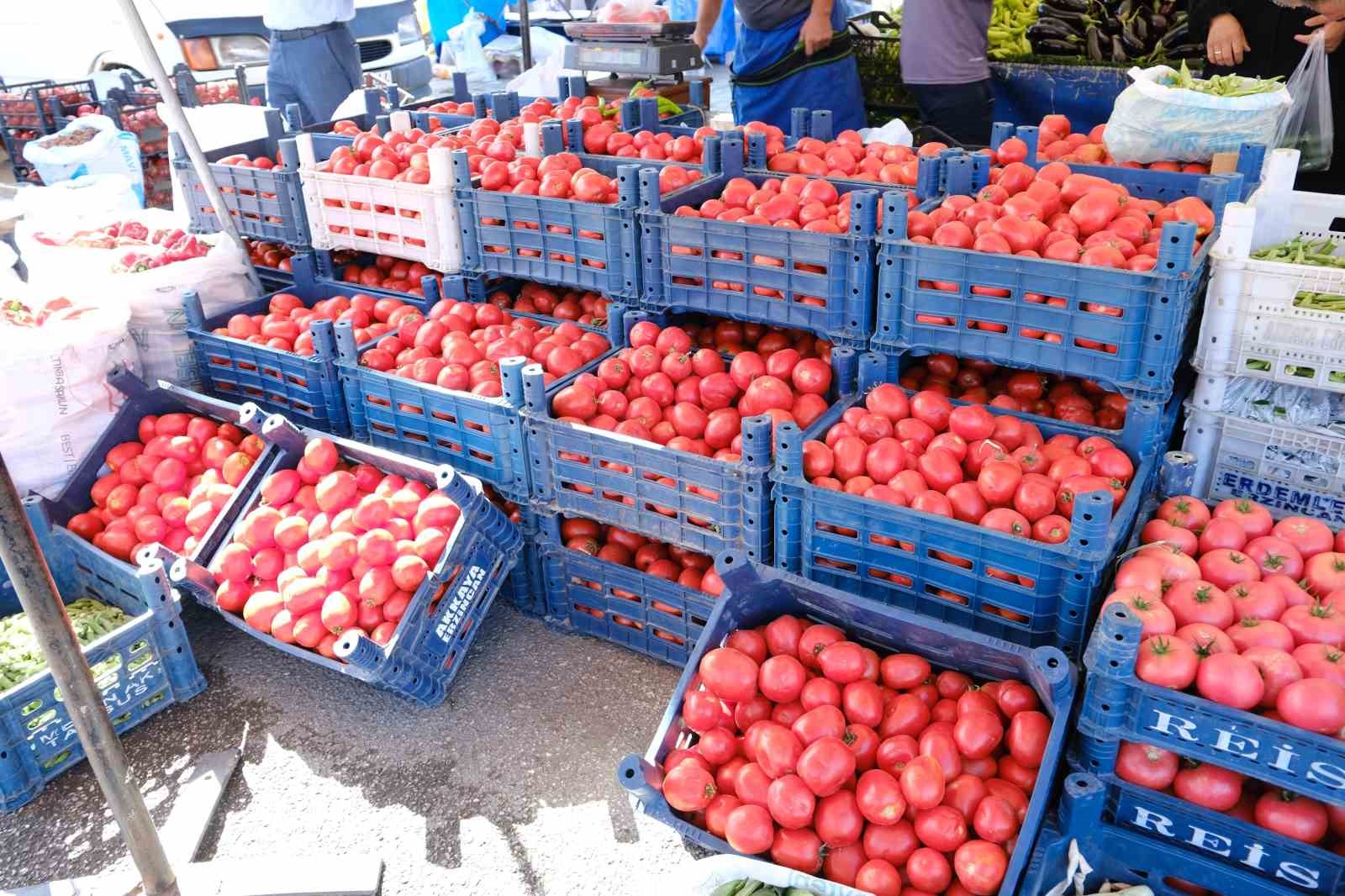 Erzincan'da Kış Hazırlıkları Başladı: Salçalık Domates ve Biber Tezgahları Dolduruyor