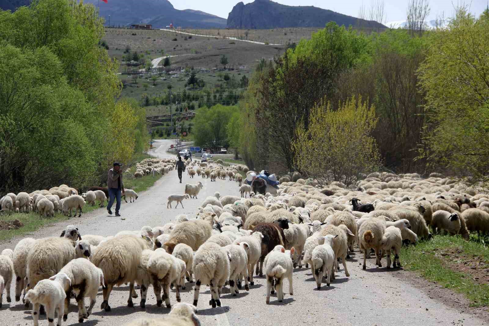 Erzincan’da Yaylacılar Sonbahar Dönüşü İçin Yola Çıktı