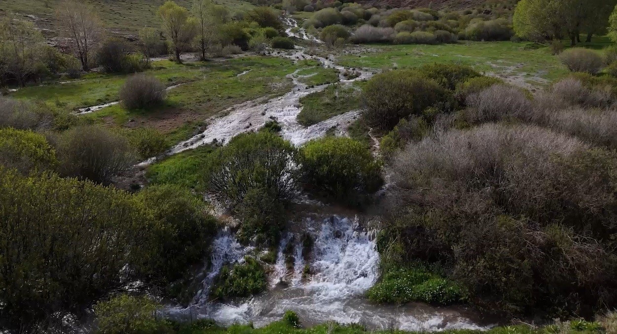 Erzincan'da Doğanın Eşsiz Mucizesi: Ağ Nene Tepesi