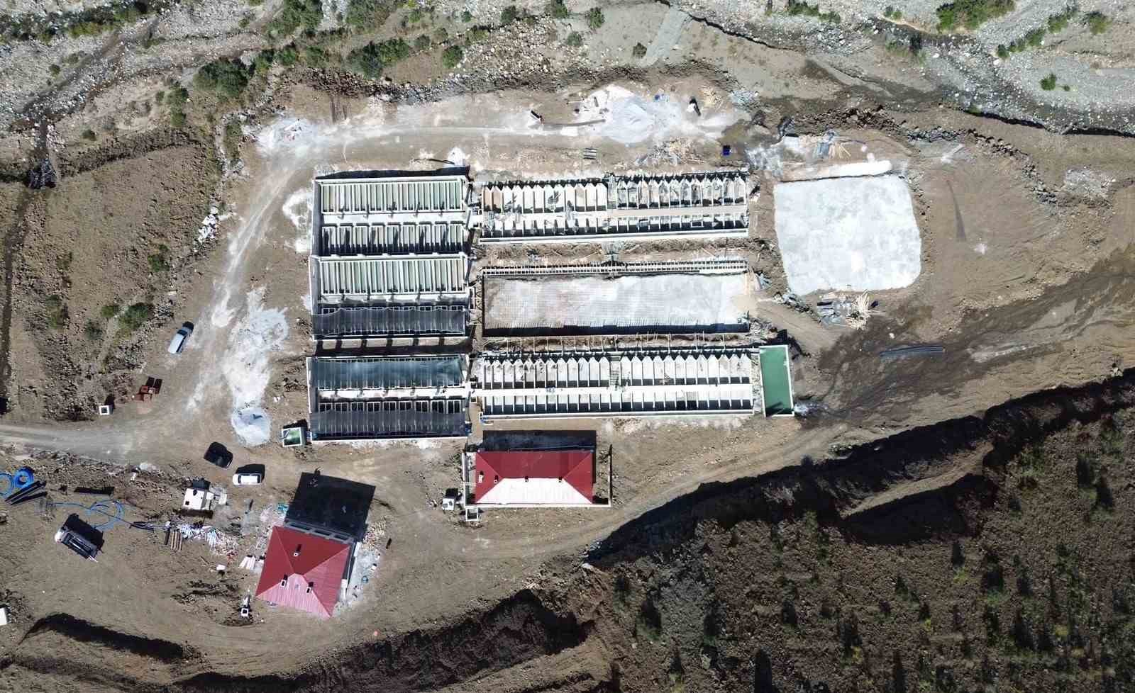 Erzincan'dan Dünyaya Somon İhracatı
