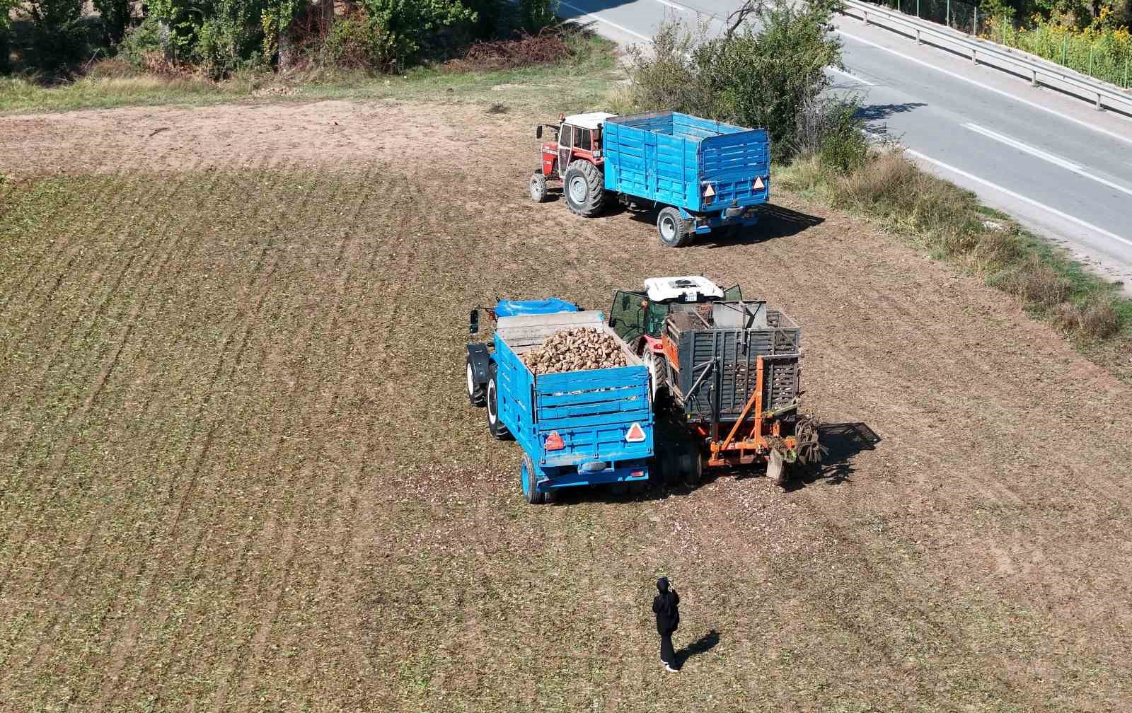 Erzincan'da Şeker Pancarı Hasadı Coşkusu Başladı