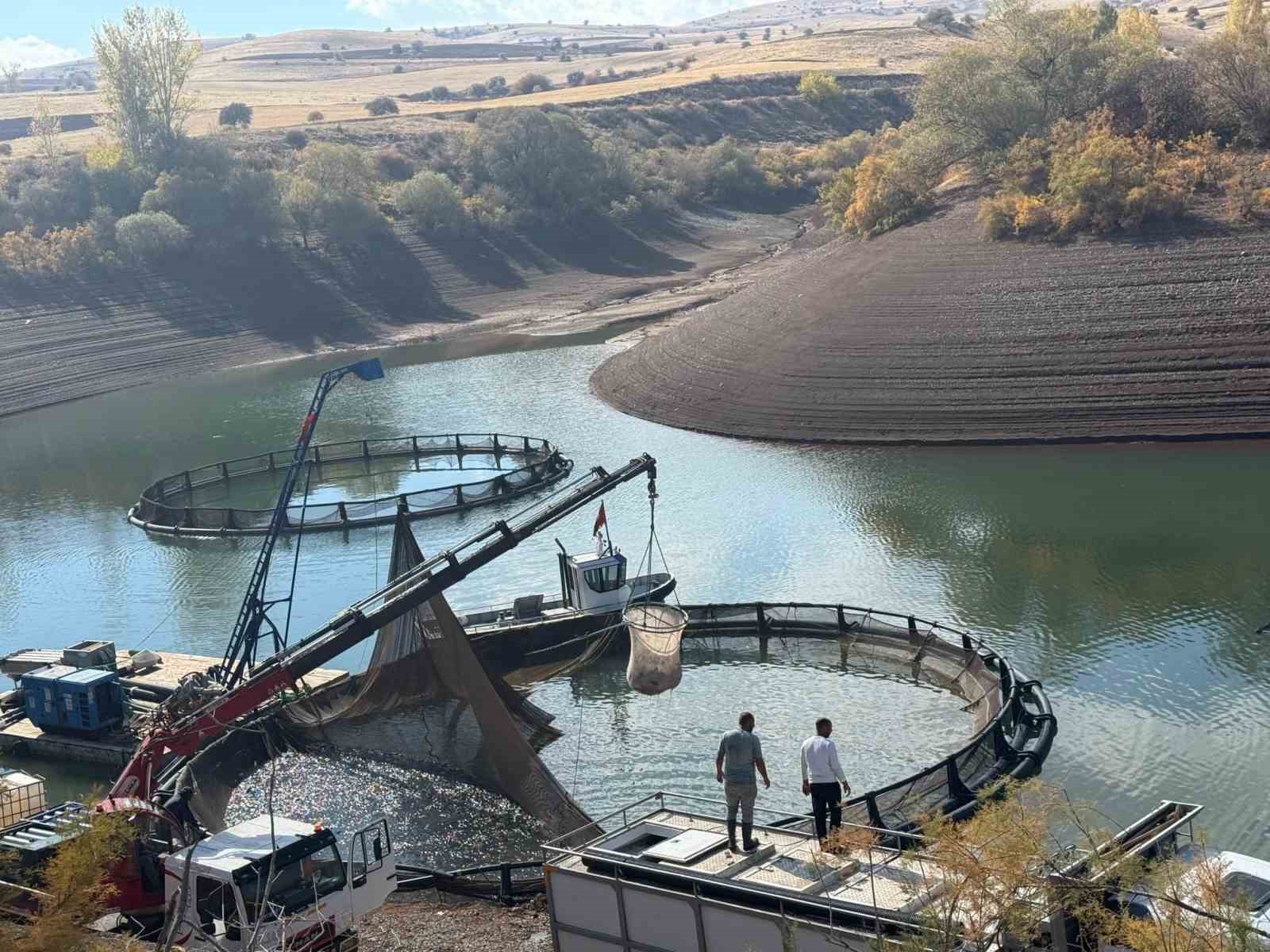 Tercan Baraj Gölü'nde Su Ürünleri Üretimi Hızla Gelişiyor